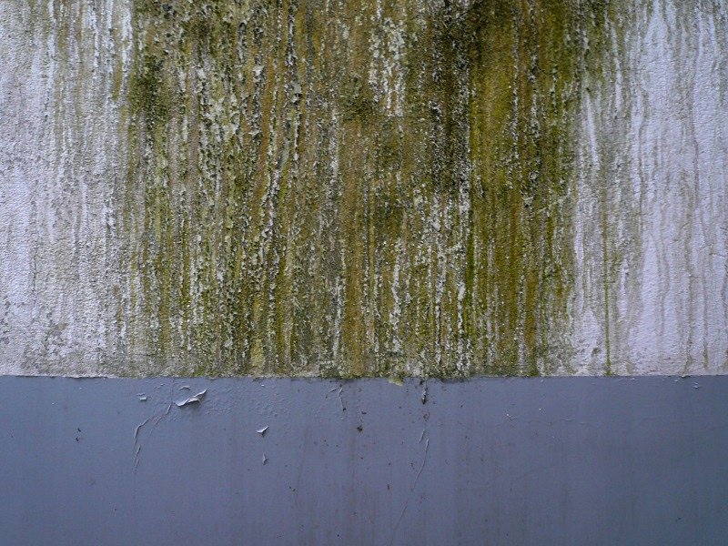 photo8.jpg