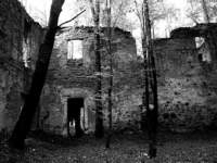 photo4_small.jpg
