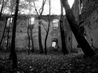 photo6_small.jpg