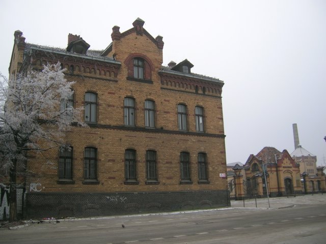 photo.jpg