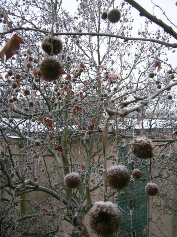 photo38.jpg