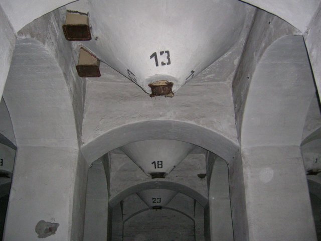 photo6.jpg