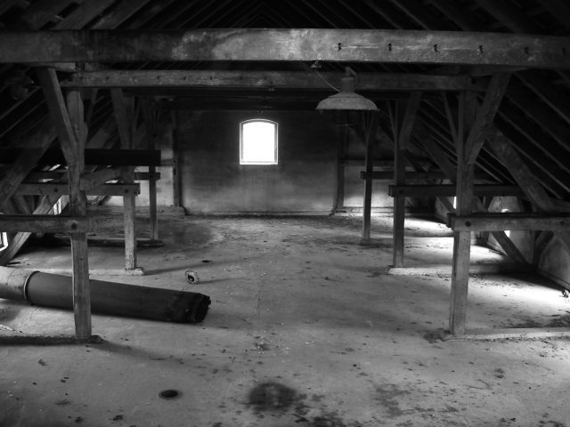 photo7.jpg
