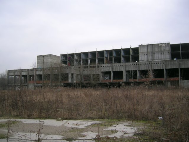 photo.jpg