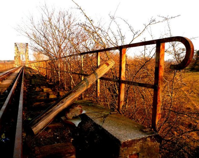 photo.jpg