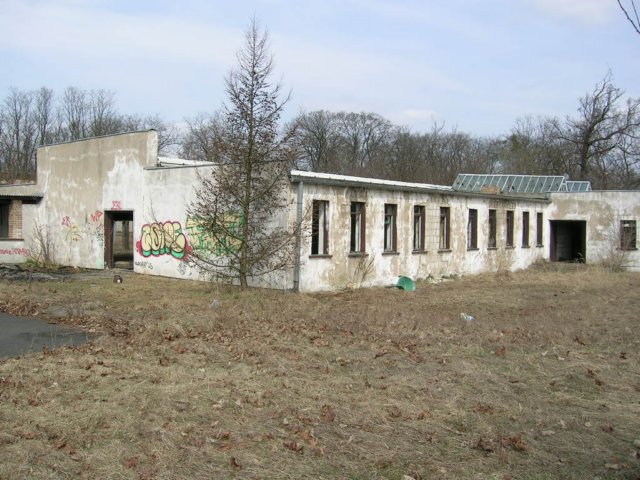 photo3.jpg