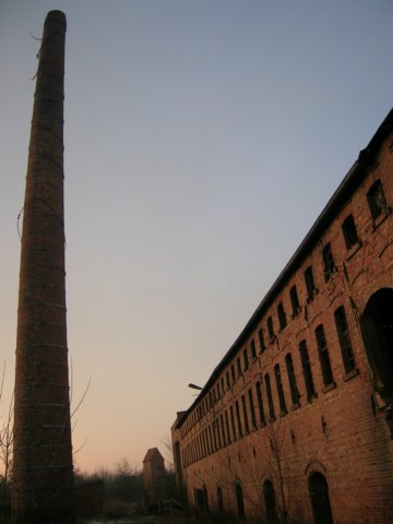 photo21.jpg