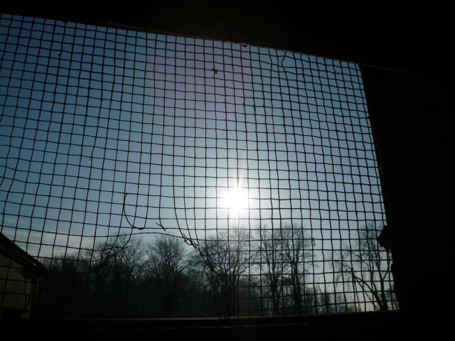photo9.jpg