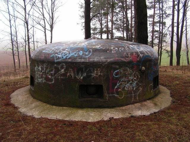 photo2.jpg