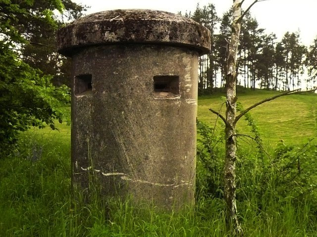 photo4.jpg
