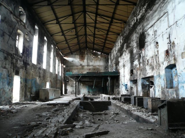 photo2.jpg