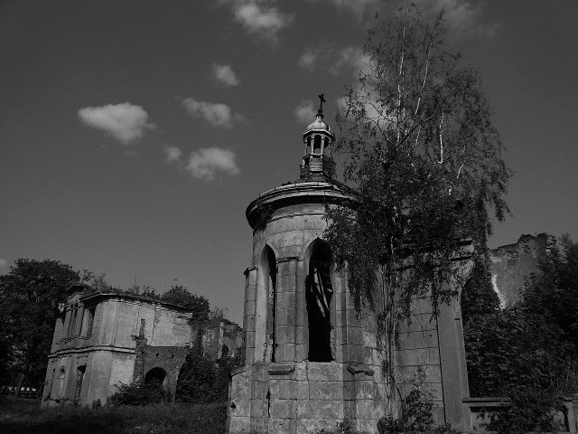 photo9.jpg