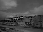 photo9_small.jpg