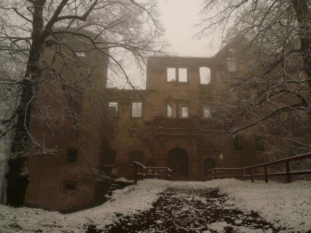 photo.jpg