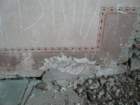 photo4_small.jpg