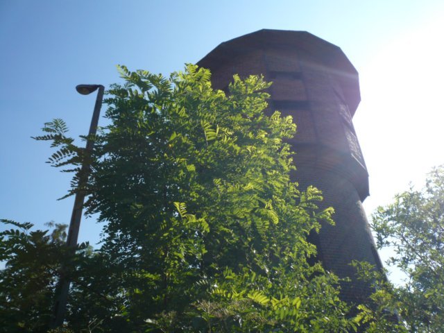 photo.jpg