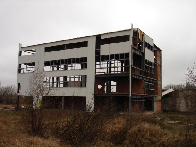 photo.jpg