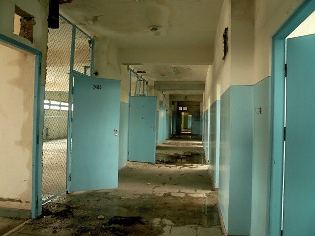 photo4.jpg