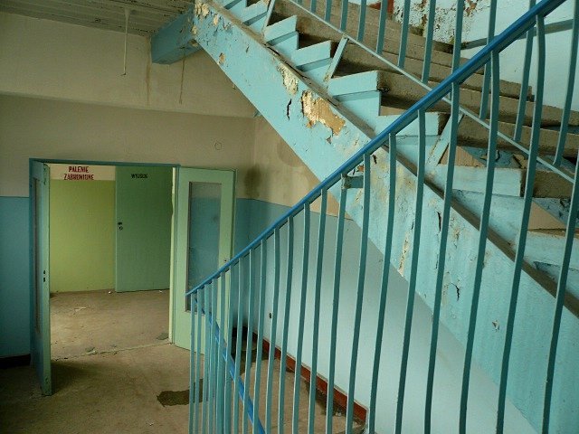 photo9.jpg