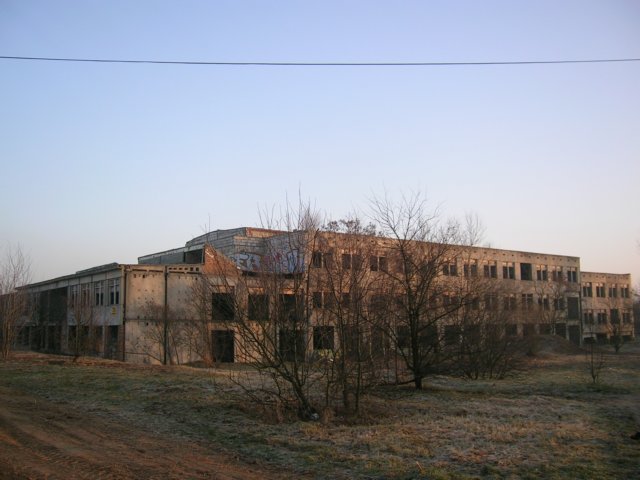 photo.jpg