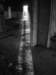 photo5_small.jpg