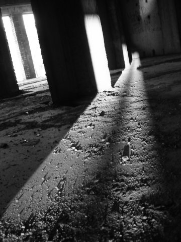 photo6.jpg