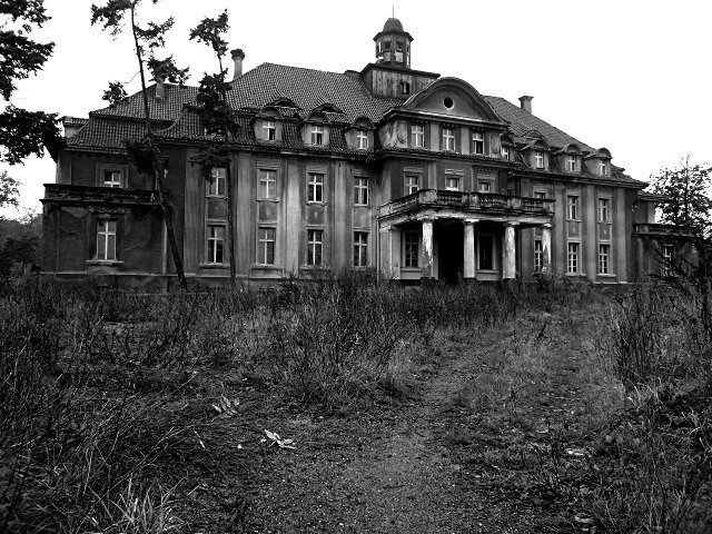 photo.jpg