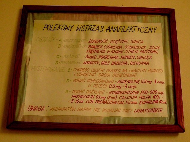 photo6.jpg