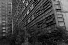 photo9_small.jpg