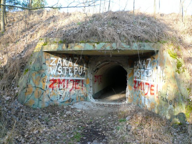 photo12.jpg