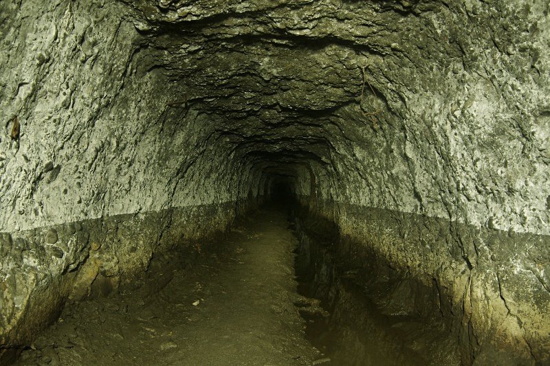 photo.jpg