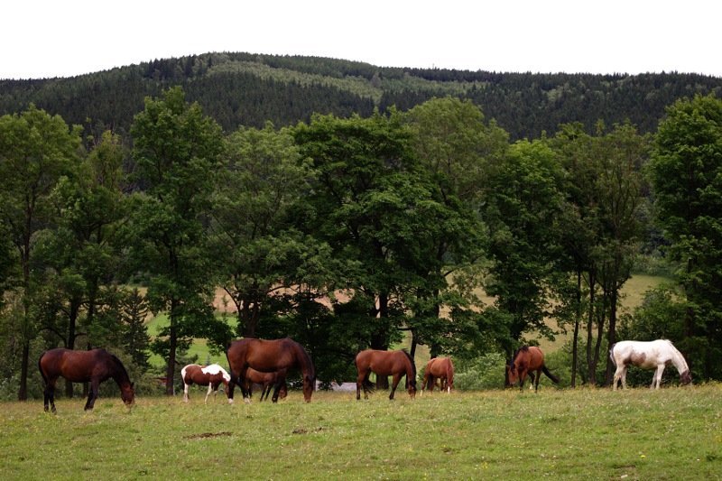 photo.jpg