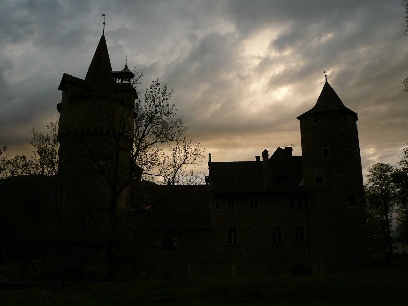 photo6.jpg