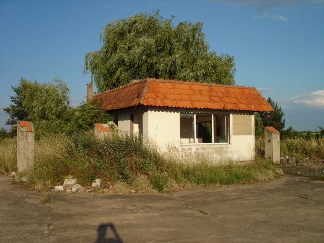 photo.jpg