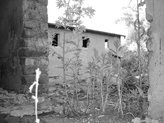 photo23.jpg