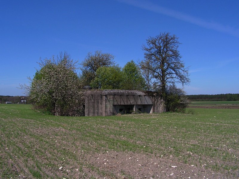 photo.jpg