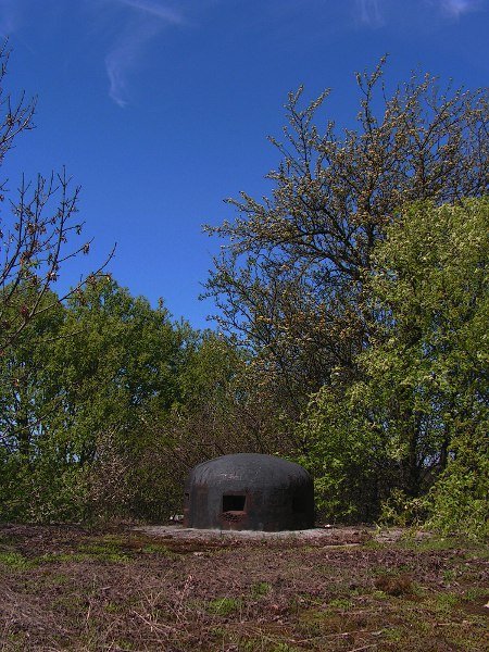 photo2.jpg