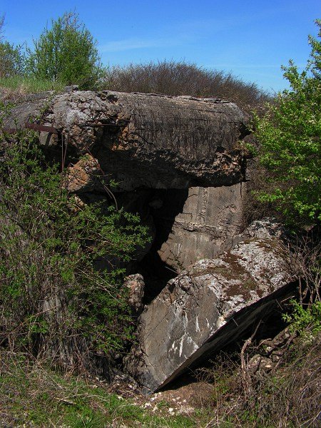 photo5.jpg