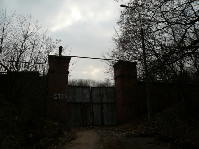 photo.jpg