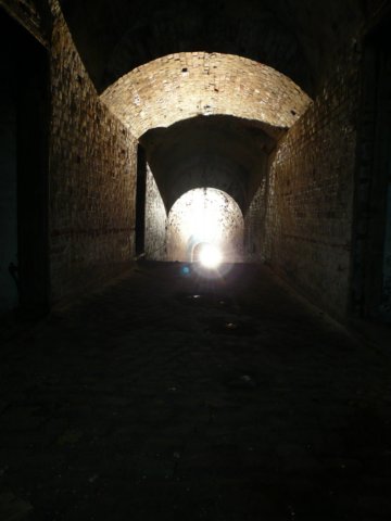 photo24.jpg
