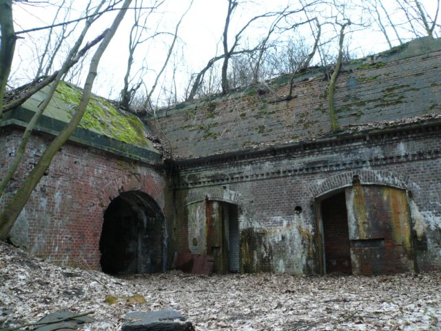 photo29.jpg