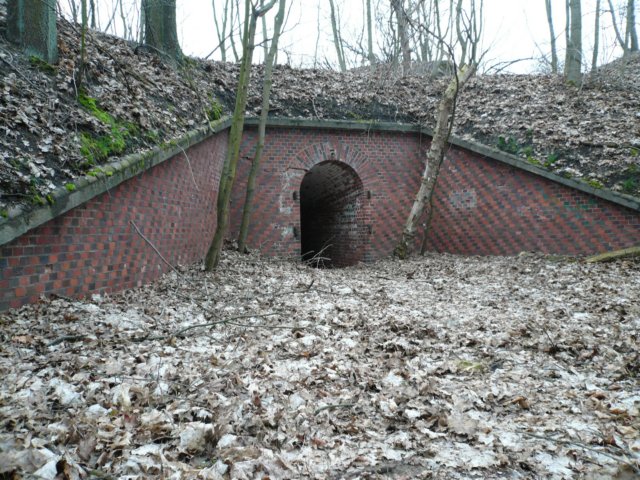 photo32.jpg
