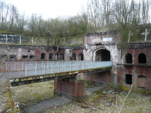 photo4.jpg