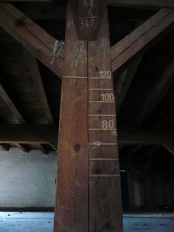 photo7.jpg