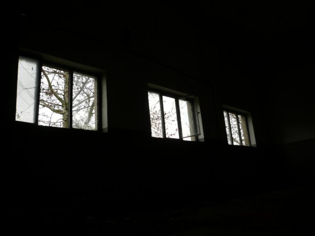 photo20.jpg