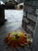 photo6_small.jpg
