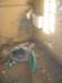 photo7_small.jpg