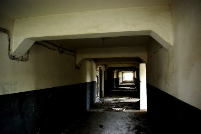 photo11.jpg