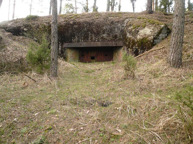 photo7.jpg
