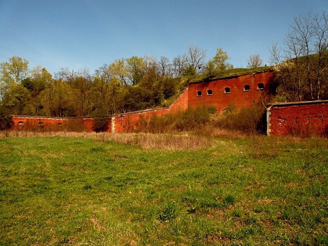 photo3.jpg